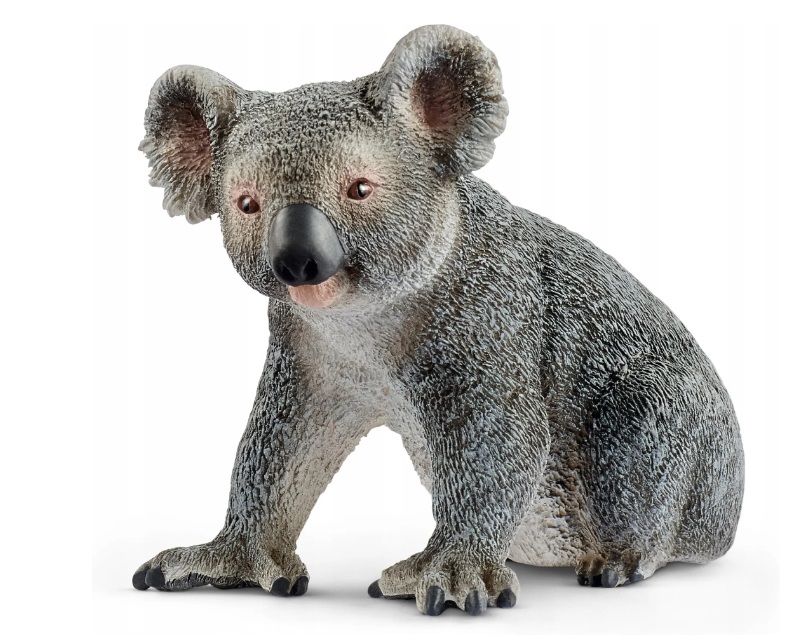 Schleich Miś Koala Australijski 17096